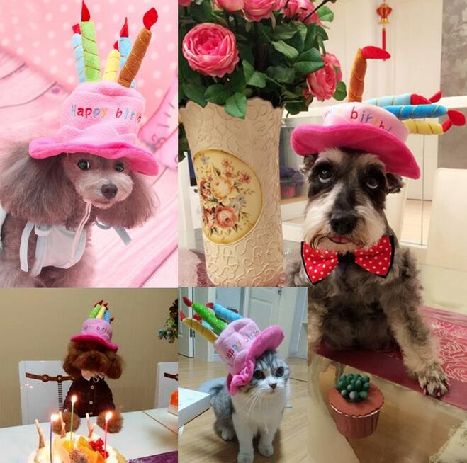 Birthday hat for dogs and cats - Partypaws