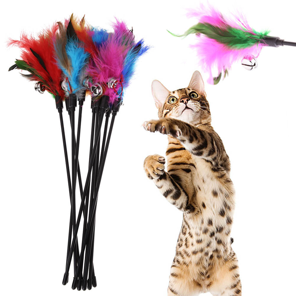product-image-283259466.jpg
