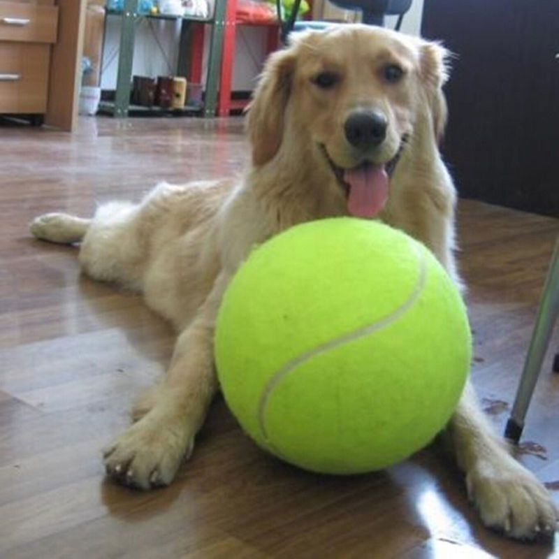 XXL tennis ball for dogs (24 cm) - Giantfetch