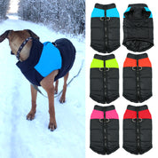Warm and water -repellent dog coat - Warmpaws