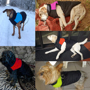 Warm and water -repellent dog coat - Warmpaws