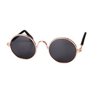 Trendy cat sunglasses - Kittyshades