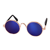 Trendy cat sunglasses - Kittyshades