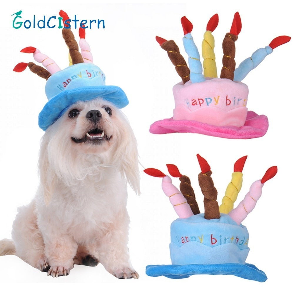 Birthday hat for dogs and cats - Partypaws