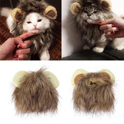 Lions for your cat - Lionpaws