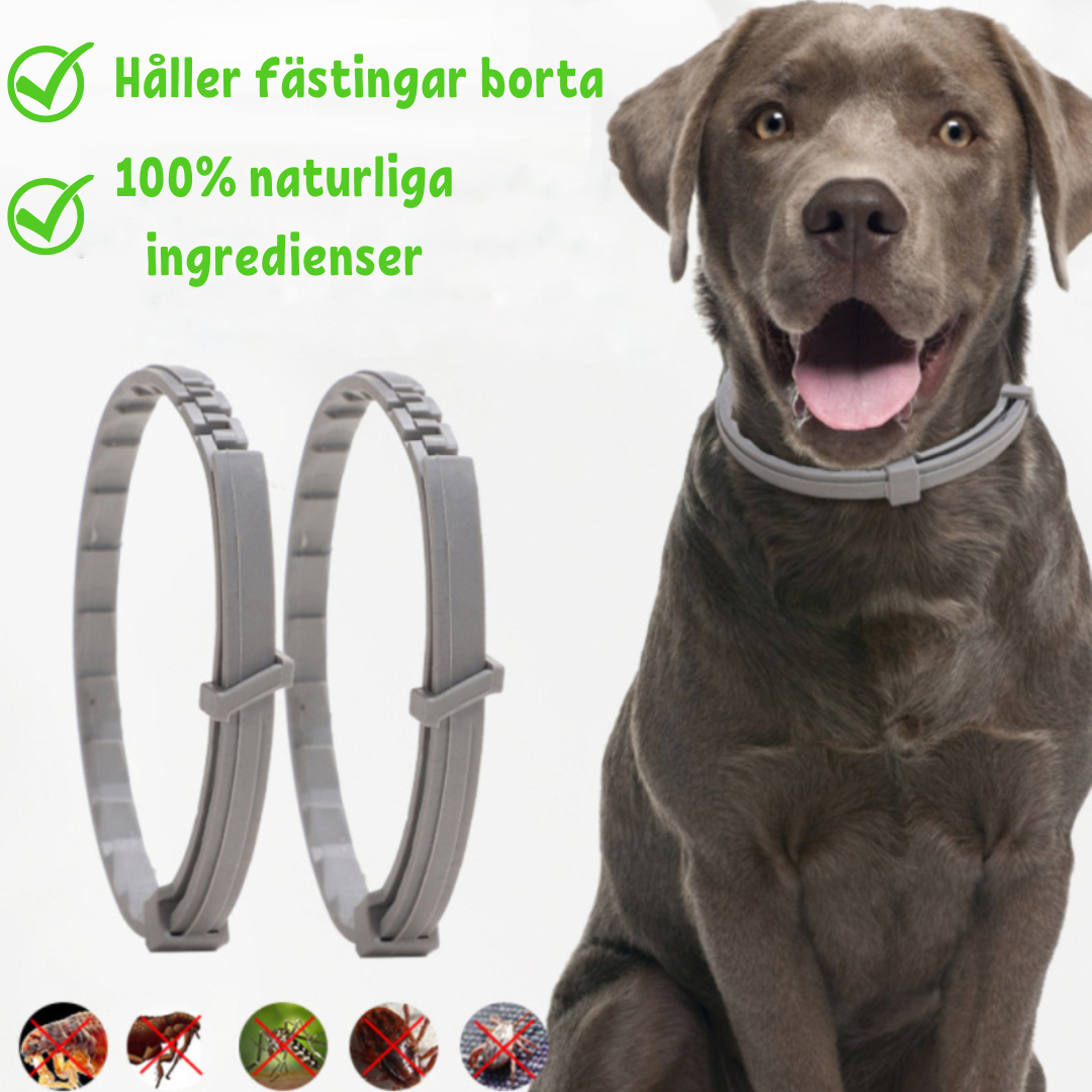 Petguard | Multi-Protection collar against fleas and ticks-1