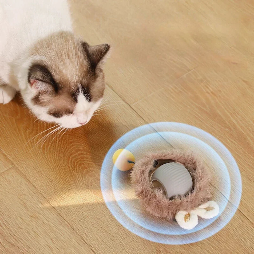 Interactive hunter for cats - Pouncepal