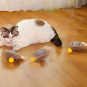 Interactive hunter for cats - Pouncepal