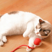 Interactive hunter for cats - Pouncepal