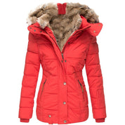Winter coat with fur collar - Beau