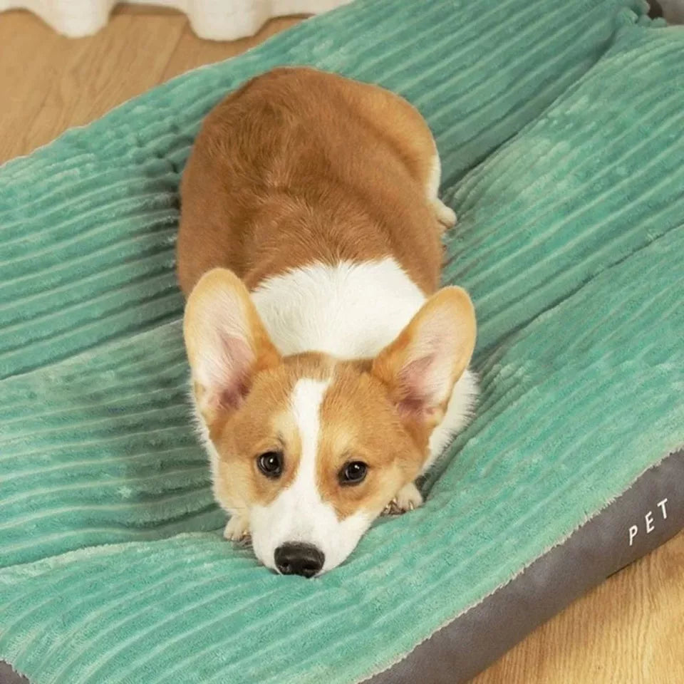 Orthopedic dog cushion with removable cover - Snugglerest