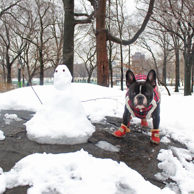 Warm dog snow boots - Snowpaws