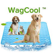 Cooling dog mat - Coolpet Mat