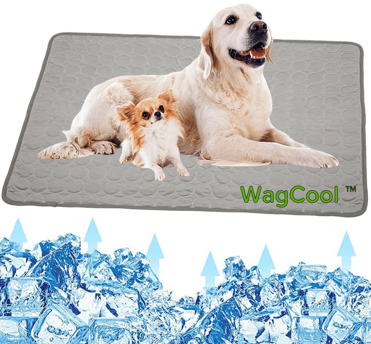 Cooling dog mat - Coolpet Mat