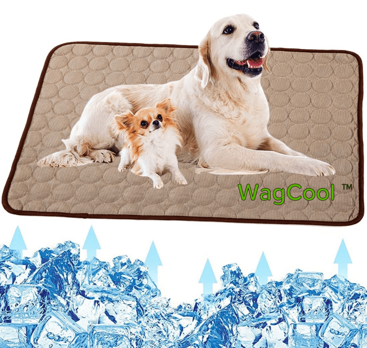 Cooling dog mat - Coolpet Mat