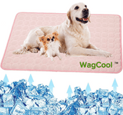 Cooling dog mat - Coolpet Mat