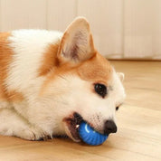 Happily ball | Infinite game time for your animal lover!-5
