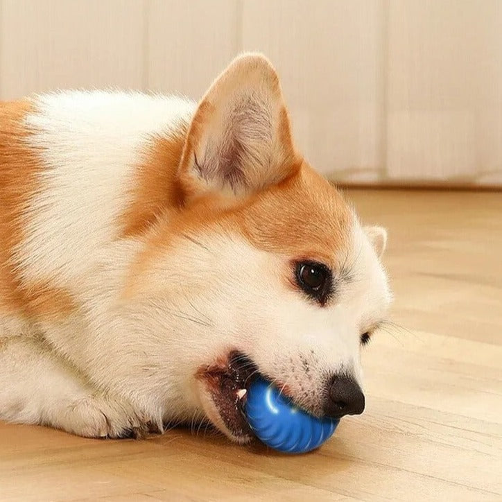 Happily ball | Infinite game time for your animal lover!-5